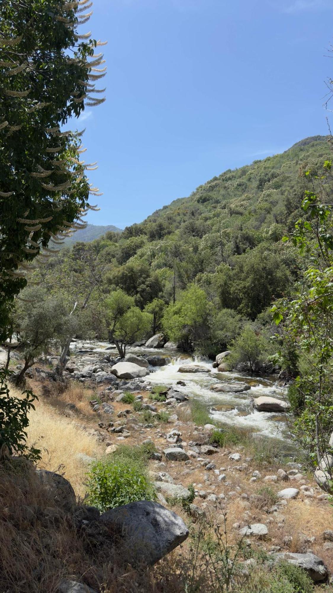 Paradise Ranch Inn - Ecstatic Tent Three Rivers Εξωτερικό φωτογραφία